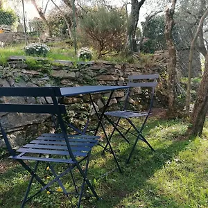 Nonna Paola Appartamento Leivi